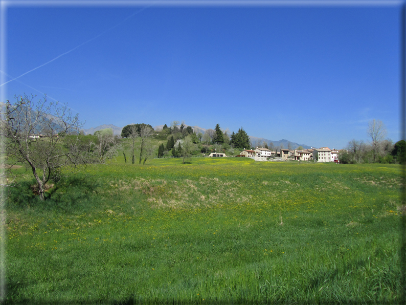 foto Paesaggi Collinari in Primavera